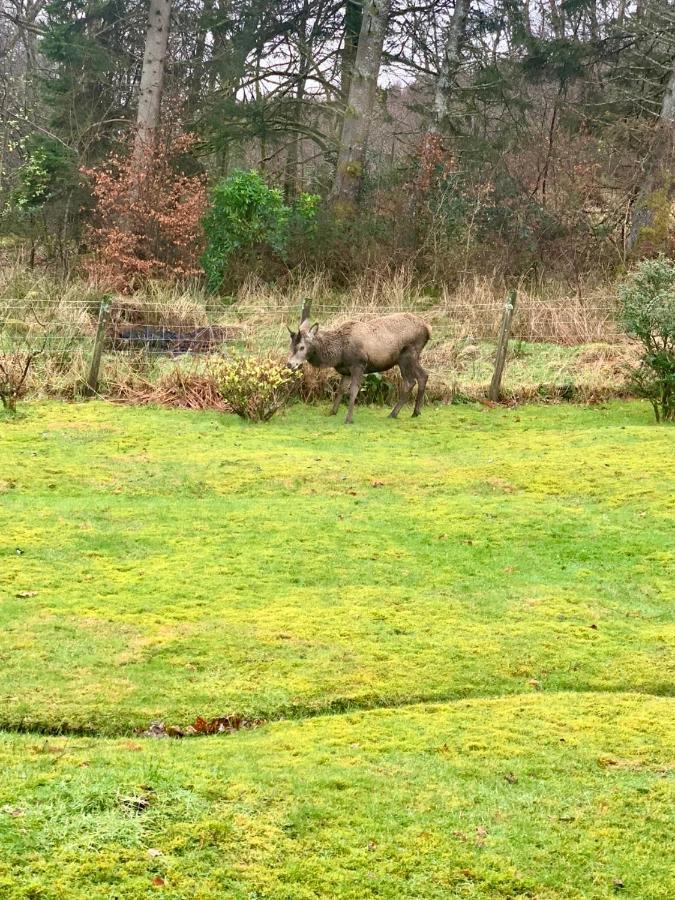 Ben Bheula Villa Arrochar Bagian luar foto